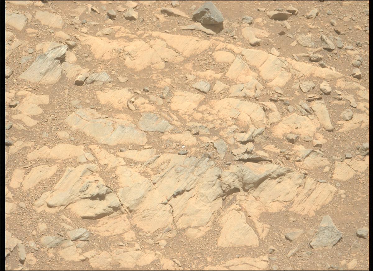 This image was taken by MCZ_LEFT onboard NASA's Mars rover Perseverance on Sol 1662