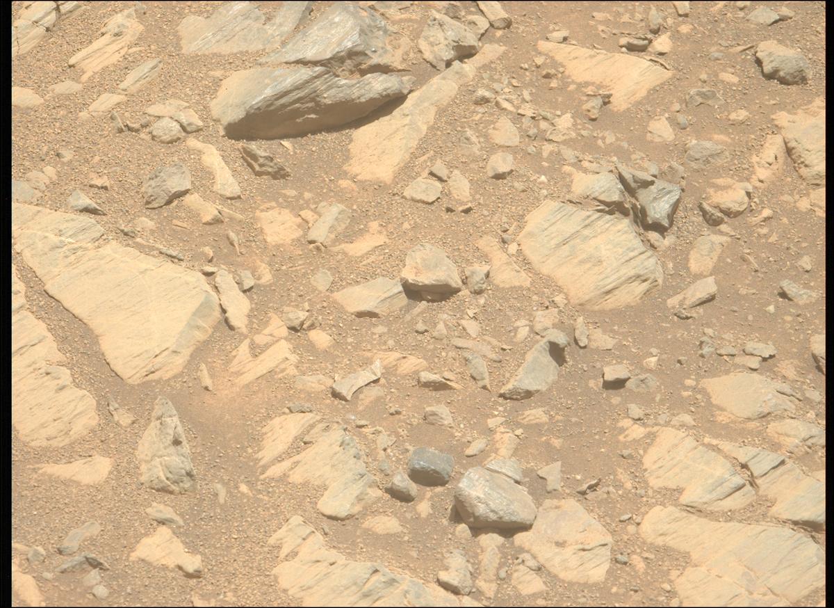This image was taken by MCZ_LEFT onboard NASA's Mars rover Perseverance on Sol 1662