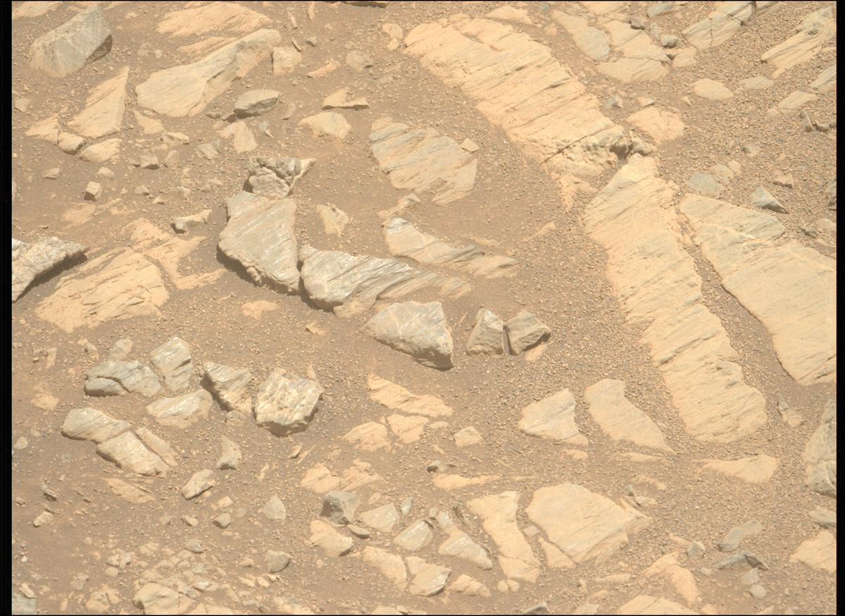 This image was taken by MCZ_LEFT onboard NASA's Mars rover Perseverance on Sol 1662