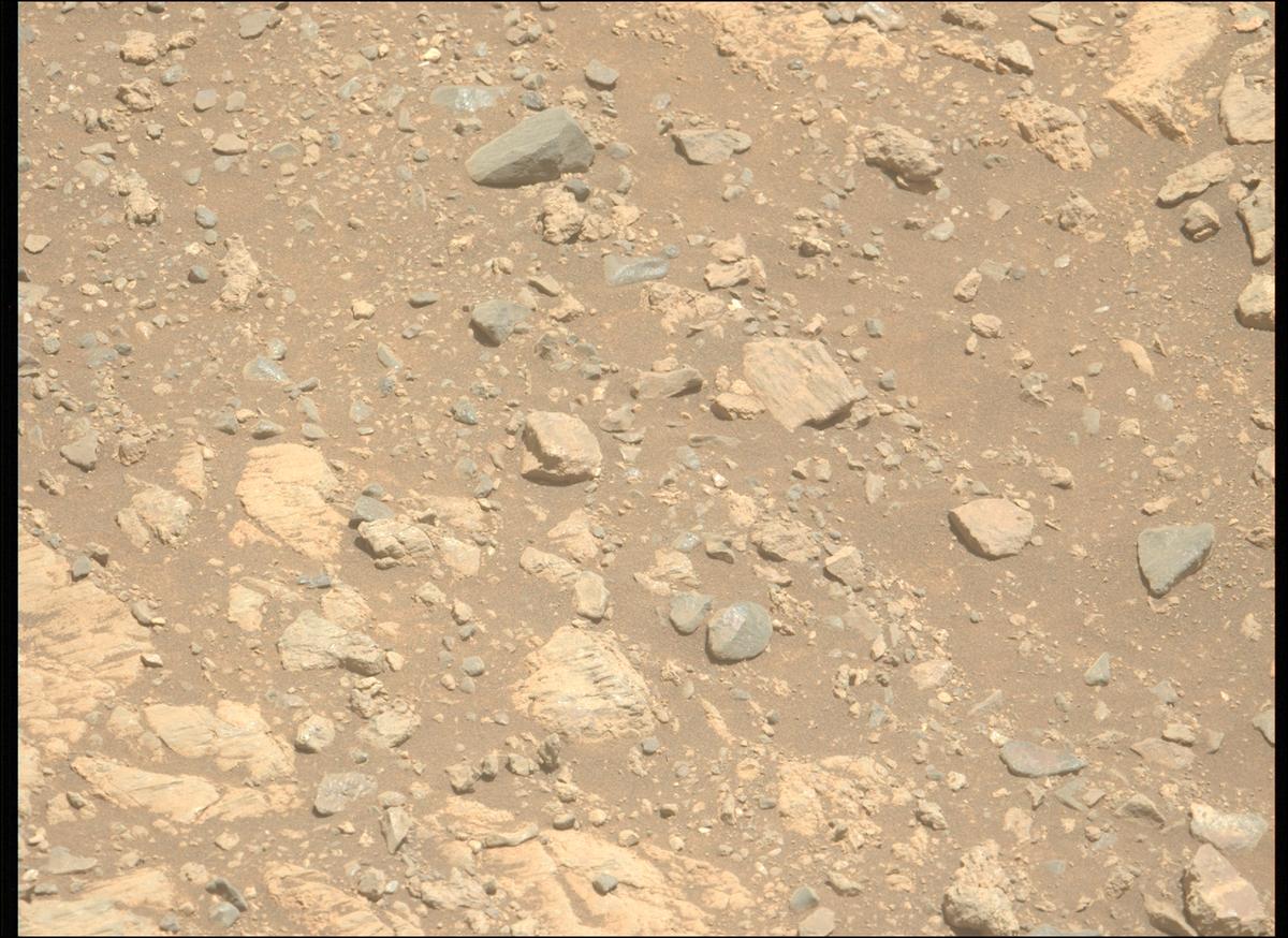 This image was taken by MCZ_LEFT onboard NASA's Mars rover Perseverance on Sol 1662