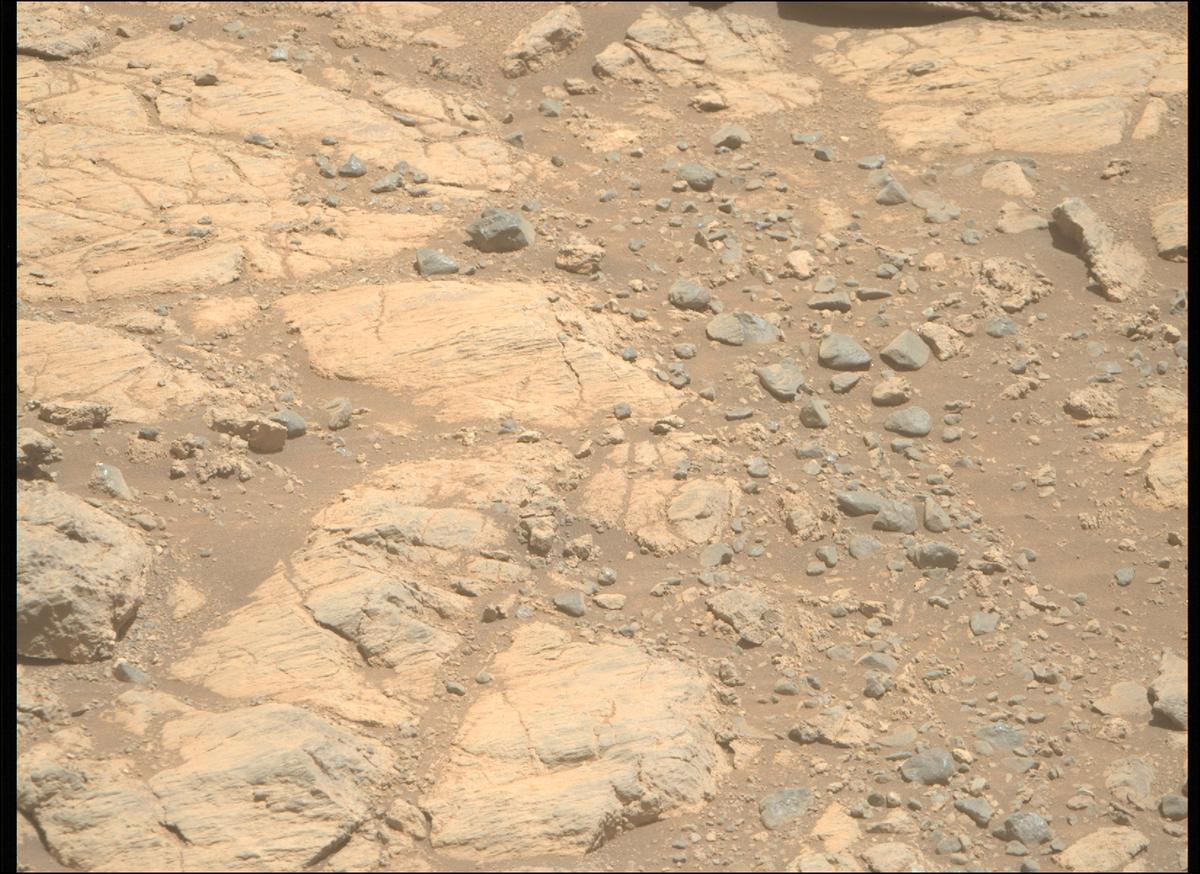 This image was taken by MCZ_RIGHT onboard NASA's Mars rover Perseverance on Sol 1662