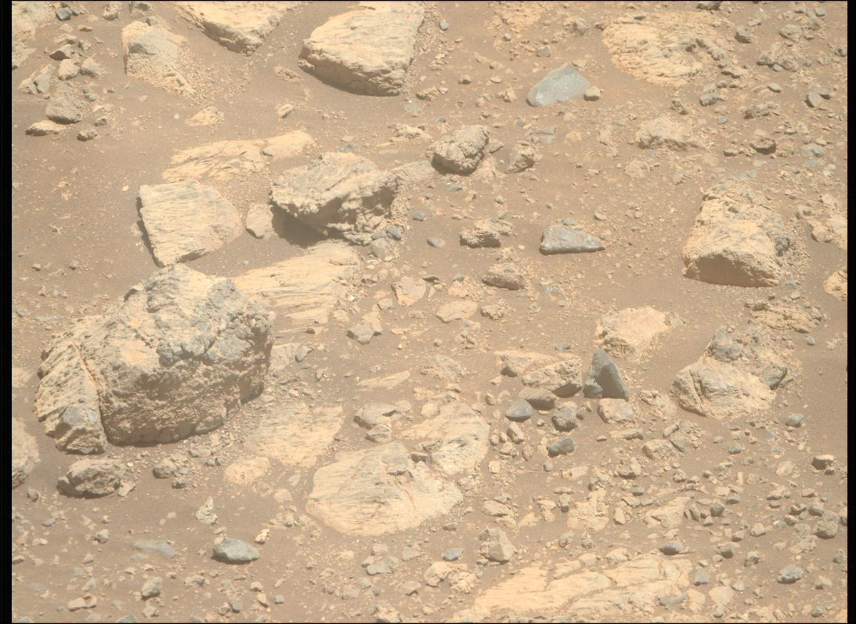 This image was taken by MCZ_RIGHT onboard NASA's Mars rover Perseverance on Sol 1662