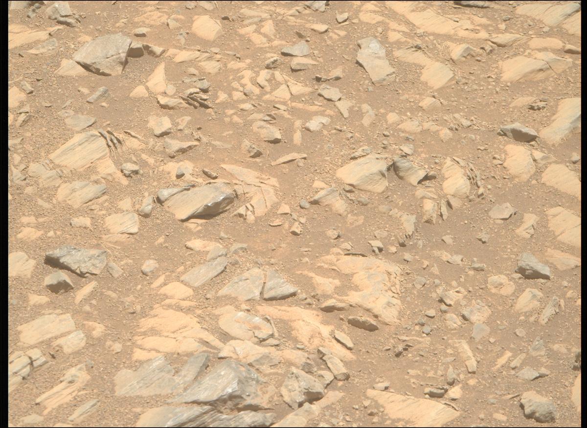 This image was taken by MCZ_RIGHT onboard NASA's Mars rover Perseverance on Sol 1662