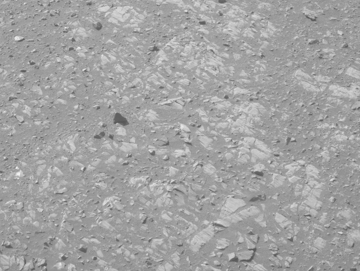 This image was taken by NAVCAM_LEFT onboard NASA's Mars rover Perseverance on Sol 1663