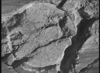 View image taken on Mars, Mars Perseverance Sol 1663: WATSON Camera 