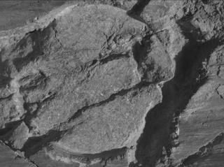 View image taken on Mars, Mars Perseverance Sol 1663: WATSON Camera 