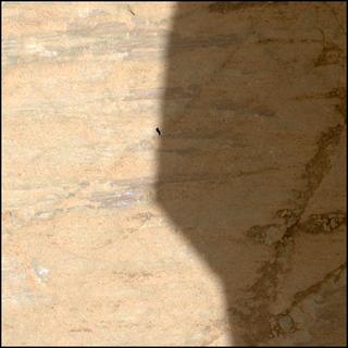 View image taken on Mars, Mars Perseverance Sol 1663: WATSON Camera 