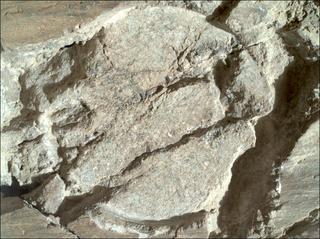 View image taken on Mars, Mars Perseverance Sol 1663: WATSON Camera 