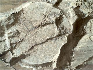 View image taken on Mars, Mars Perseverance Sol 1663: WATSON Camera 