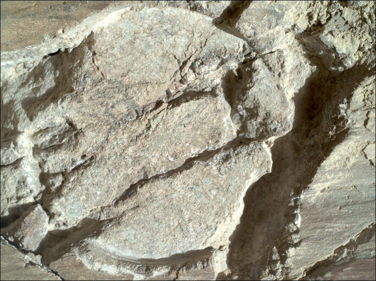 This image was taken by SHERLOC_WATSON onboard NASA's Mars rover Perseverance on Sol 1663