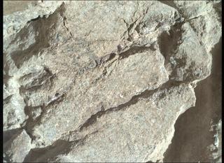 View image taken on Mars, Mars Perseverance Sol 1663: WATSON Camera 