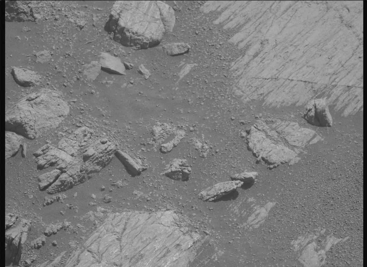This image was taken by MCZ_LEFT onboard NASA's Mars rover Perseverance on Sol 1663