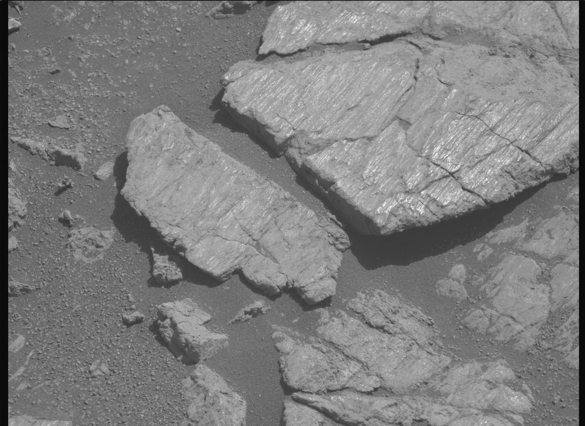 This image was taken by MCZ_LEFT onboard NASA's Mars rover Perseverance on Sol 1663