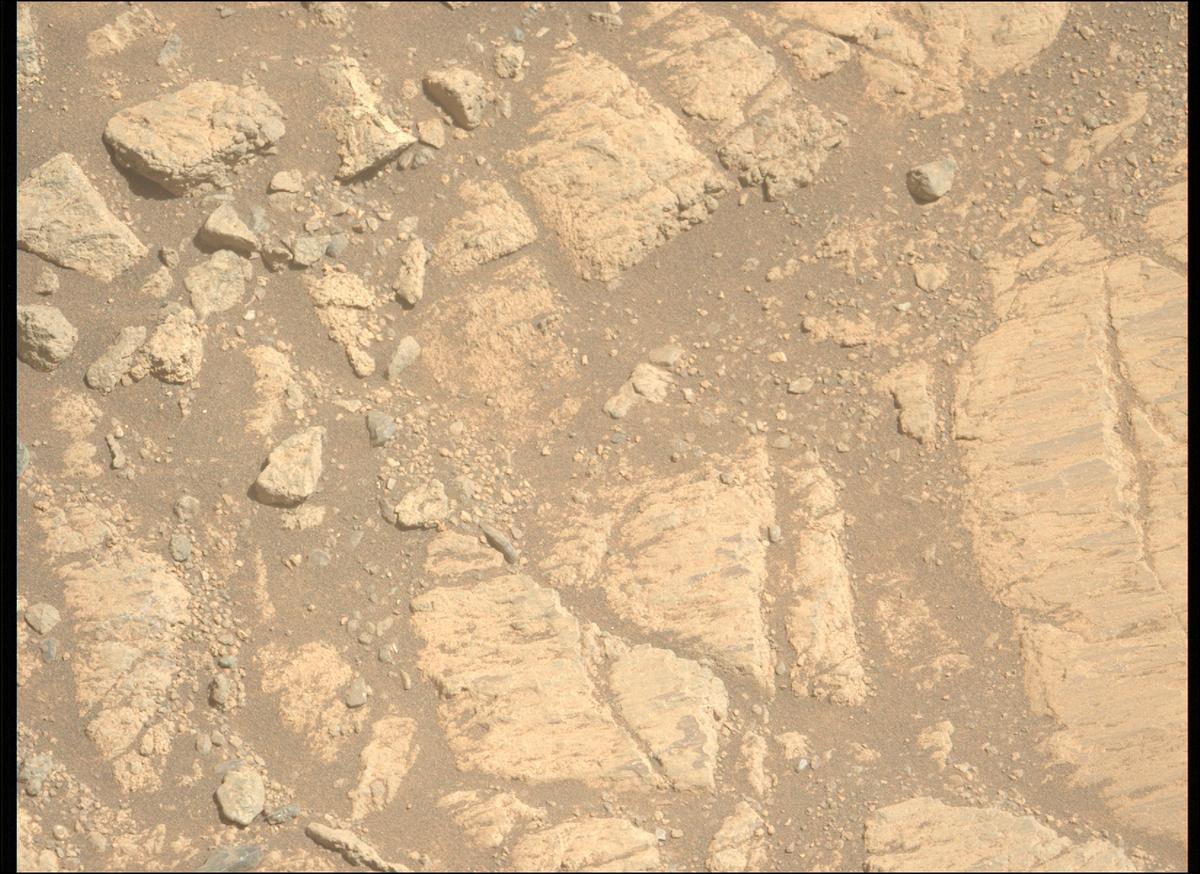 This image was taken by MCZ_LEFT onboard NASA's Mars rover Perseverance on Sol 1663