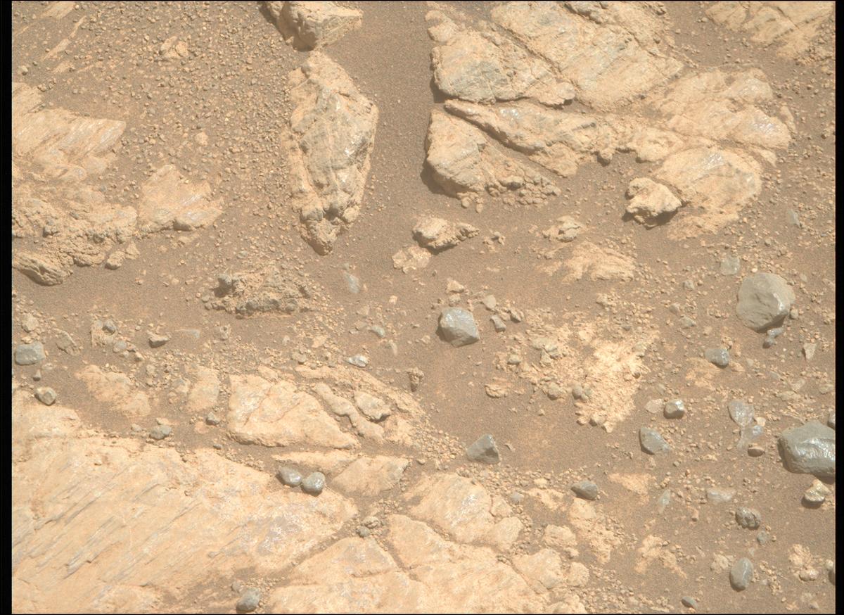 This image was taken by MCZ_RIGHT onboard NASA's Mars rover Perseverance on Sol 1663