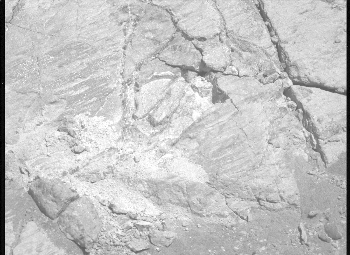 This image was taken by MCZ_LEFT onboard NASA's Mars rover Perseverance on Sol 1664