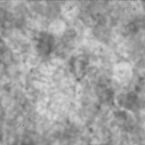 This image was taken by SHERLOC_ACI onboard NASA's Mars rover Perseverance on Sol 1667