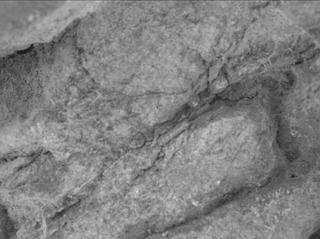 View image taken on Mars, Mars Perseverance Sol 1667: WATSON Camera 