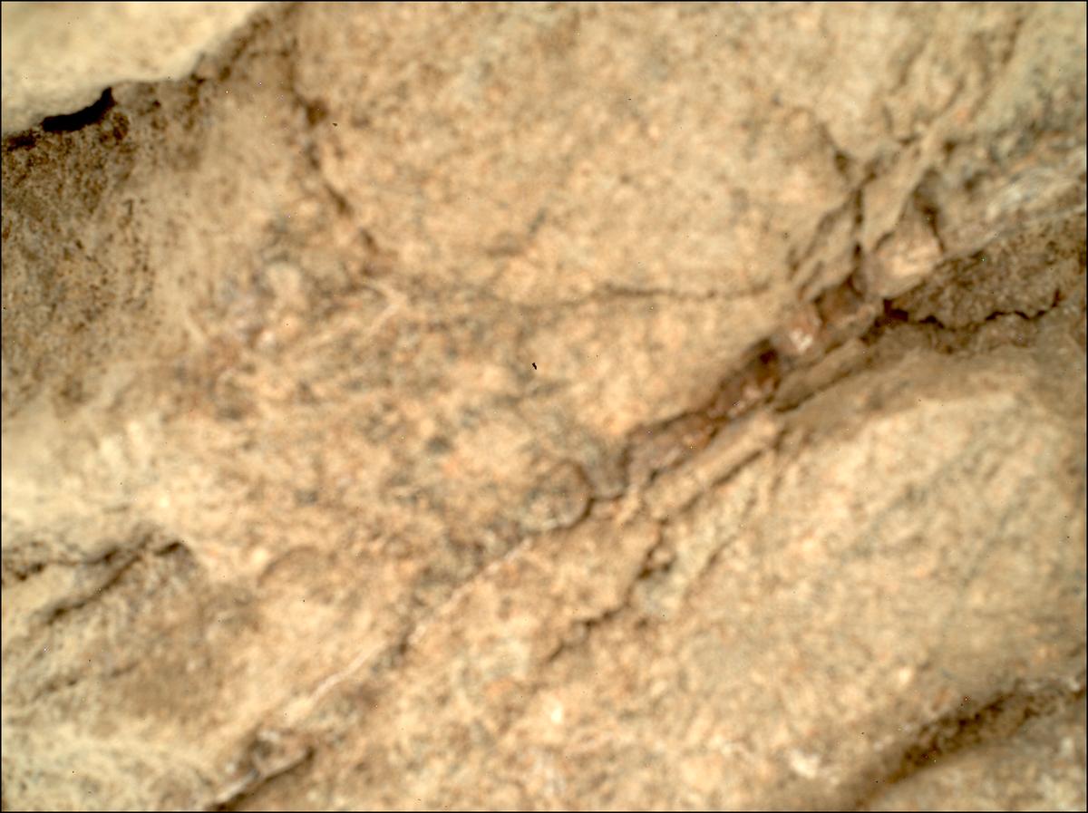 This image was taken by SHERLOC_WATSON onboard NASA's Mars rover Perseverance on Sol 1667