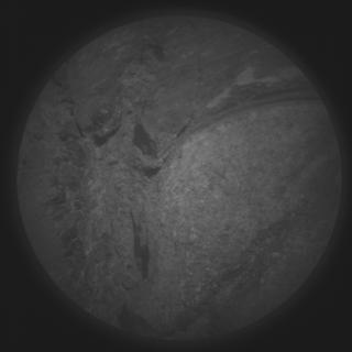 View image taken on Mars, Mars Perseverance Sol 1668: SuperCam Camera