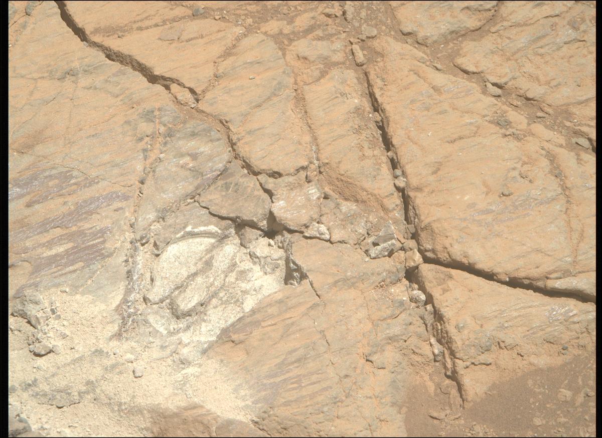 This image was taken by MCZ_RIGHT onboard NASA's Mars rover Perseverance on Sol 1668