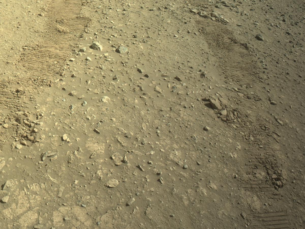 This image was taken by NAVCAM_RIGHT onboard NASA's Mars rover Perseverance on Sol 1669