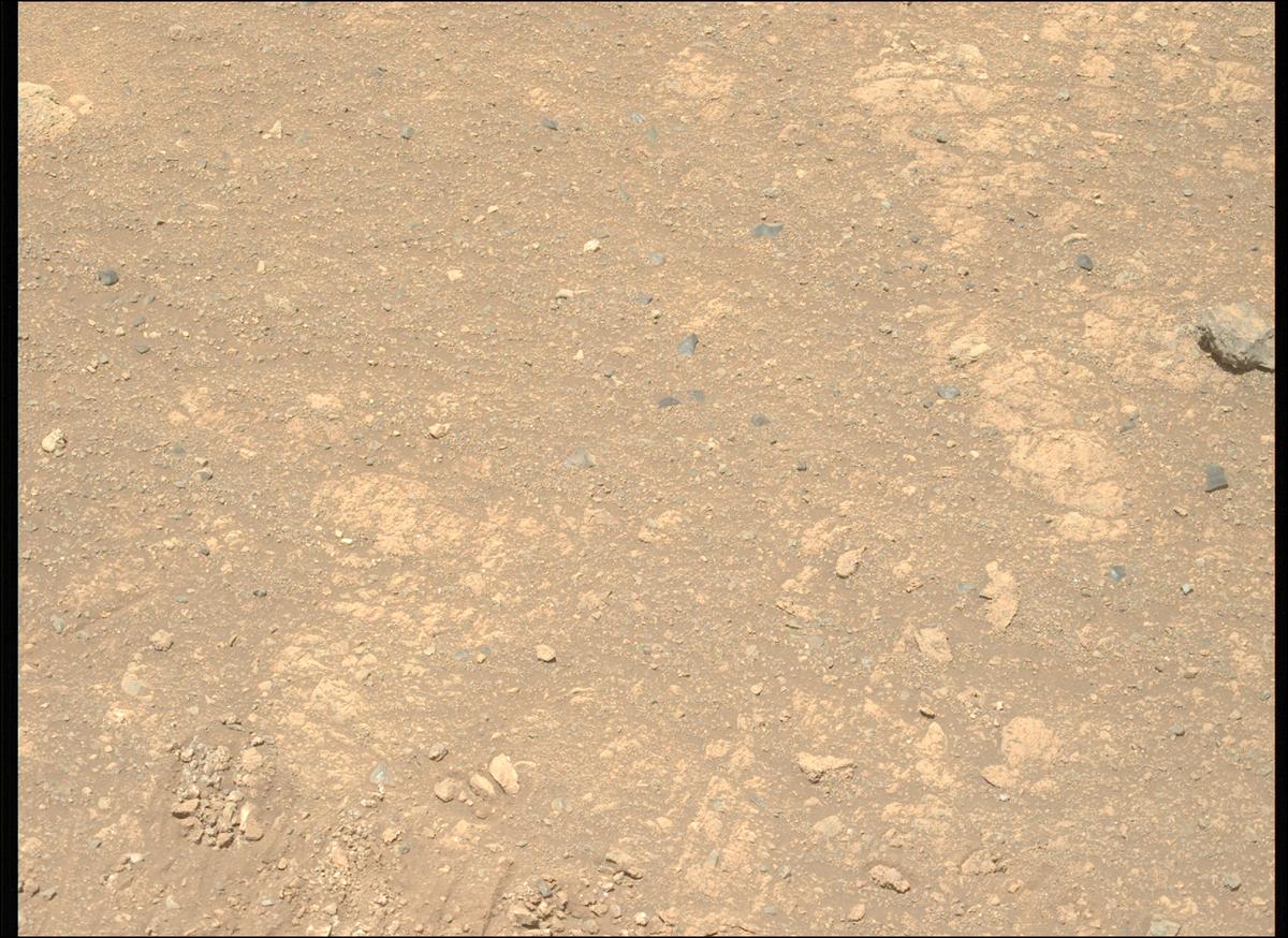 This image was taken by MCZ_LEFT onboard NASA's Mars rover Perseverance on Sol 1669