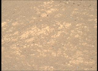 View image taken on Mars, Mars Perseverance Sol 1669: Right Mastcam-Z Camera