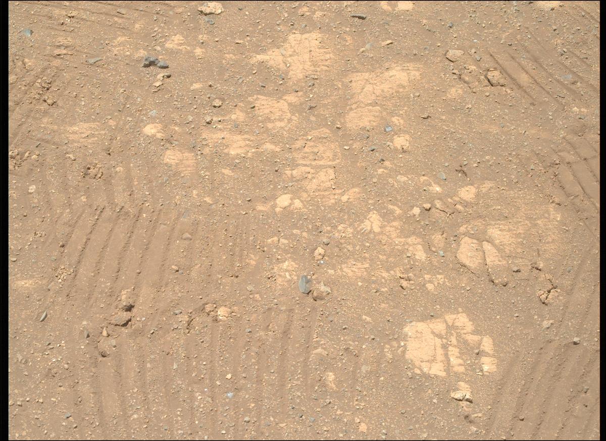 This image was taken by MCZ_RIGHT onboard NASA's Mars rover Perseverance on Sol 1669