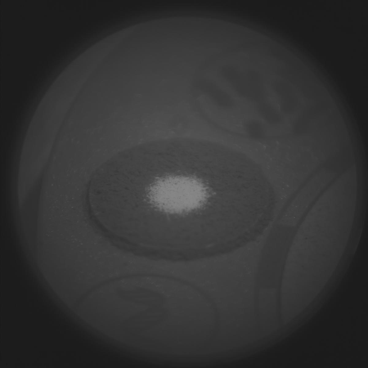 This image was taken by SUPERCAM_RMI onboard NASA's Mars rover Perseverance on Sol 1670