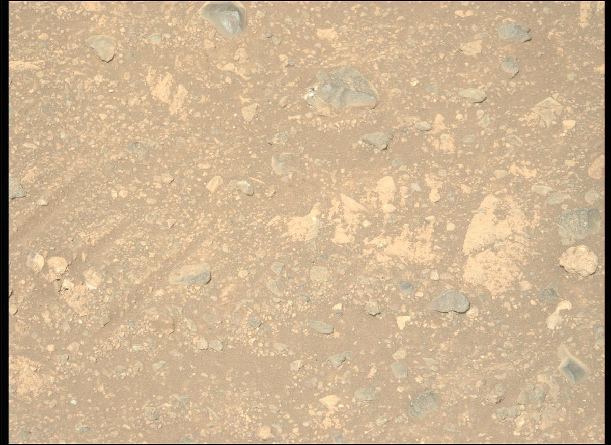 This image was taken by MCZ_LEFT onboard NASA's Mars rover Perseverance on Sol 1670