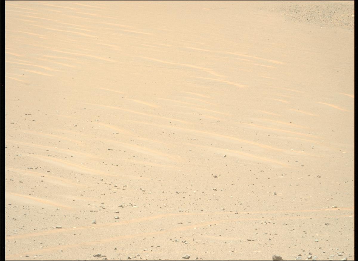 This image was taken by MCZ_LEFT onboard NASA's Mars rover Perseverance on Sol 1670
