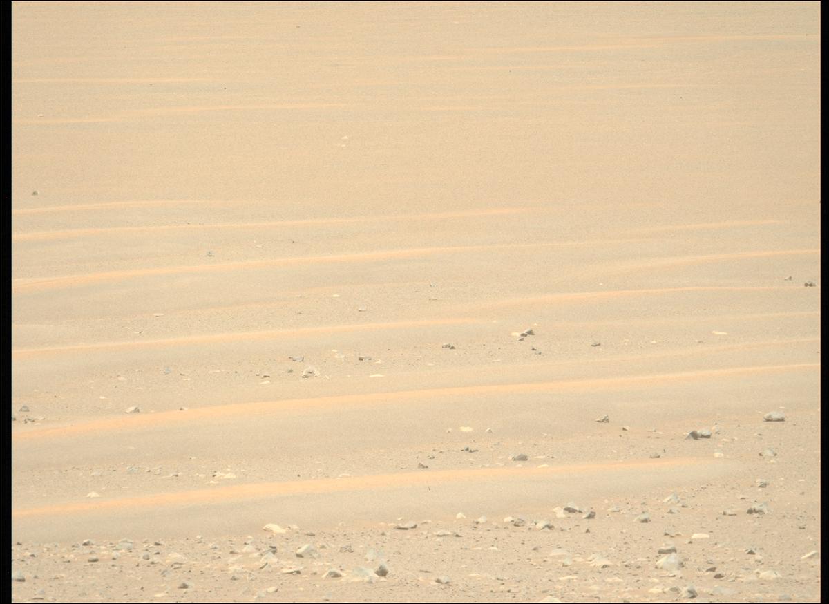 This image was taken by MCZ_LEFT onboard NASA's Mars rover Perseverance on Sol 1675