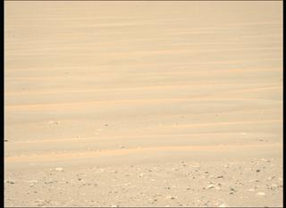 View image taken on Mars, Mars Perseverance Sol 1675: Left Mastcam-Z Camera