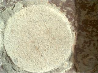 View image taken on Mars, Mars Perseverance Sol 1678: WATSON Camera 