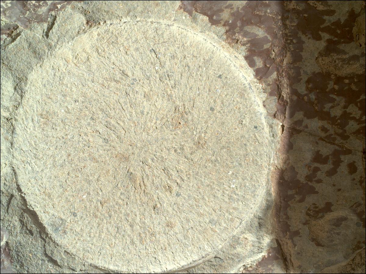 This image was taken by SHERLOC_WATSON onboard NASA's Mars rover Perseverance on Sol 1678