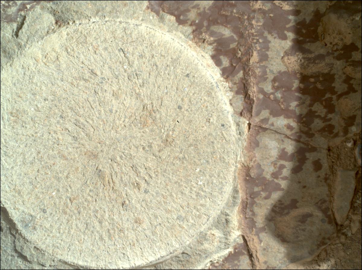 This image was taken by SHERLOC_WATSON onboard NASA's Mars rover Perseverance on Sol 1678