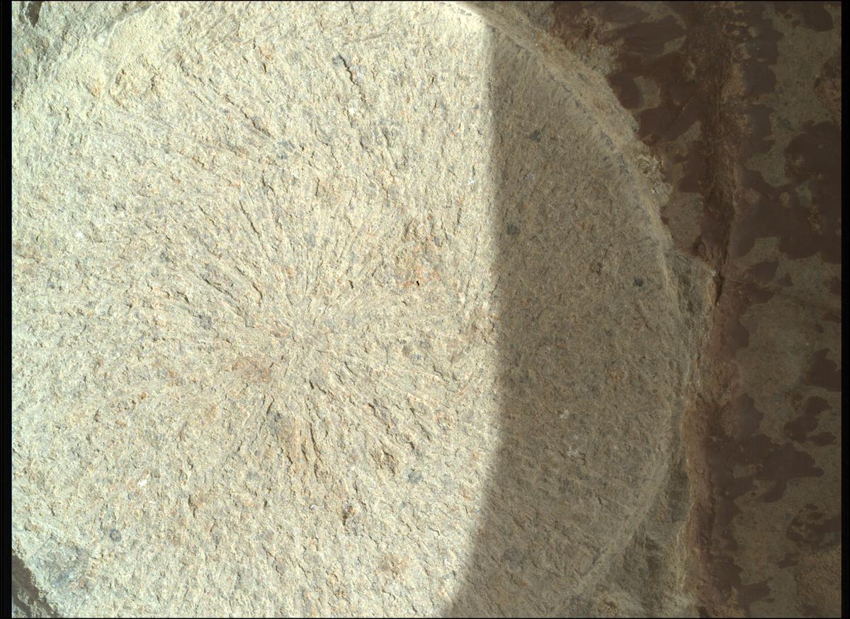 This image was taken by SHERLOC_WATSON onboard NASA's Mars rover Perseverance on Sol 1678