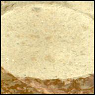 This image was taken by MCZ_LEFT onboard NASA's Mars rover Perseverance on Sol 1679