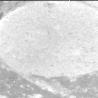 View image taken on Mars, Mars Perseverance Sol 1679: Right Mastcam-Z Camera
