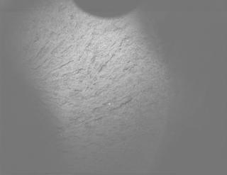 View image taken on Mars, Mars Perseverance Sol 1681: PIXL Camera 