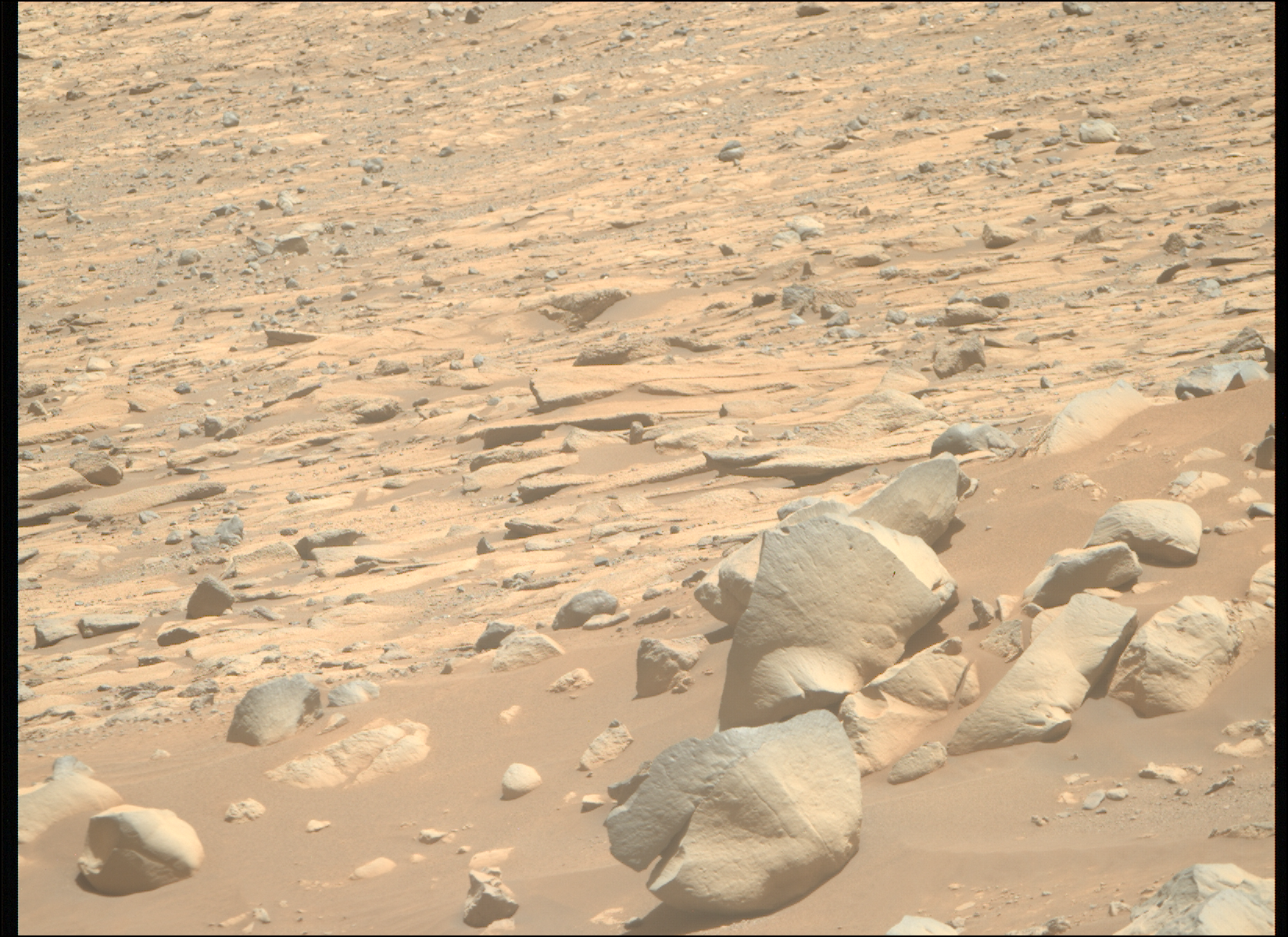 Images from the Mars Perseverance Rover - NASA Mars