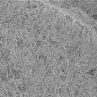 View image taken on Mars, Mars Perseverance Sol 1682: WATSON Camera 