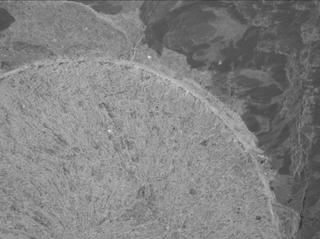 View image taken on Mars, Mars Perseverance Sol 1682: WATSON Camera 