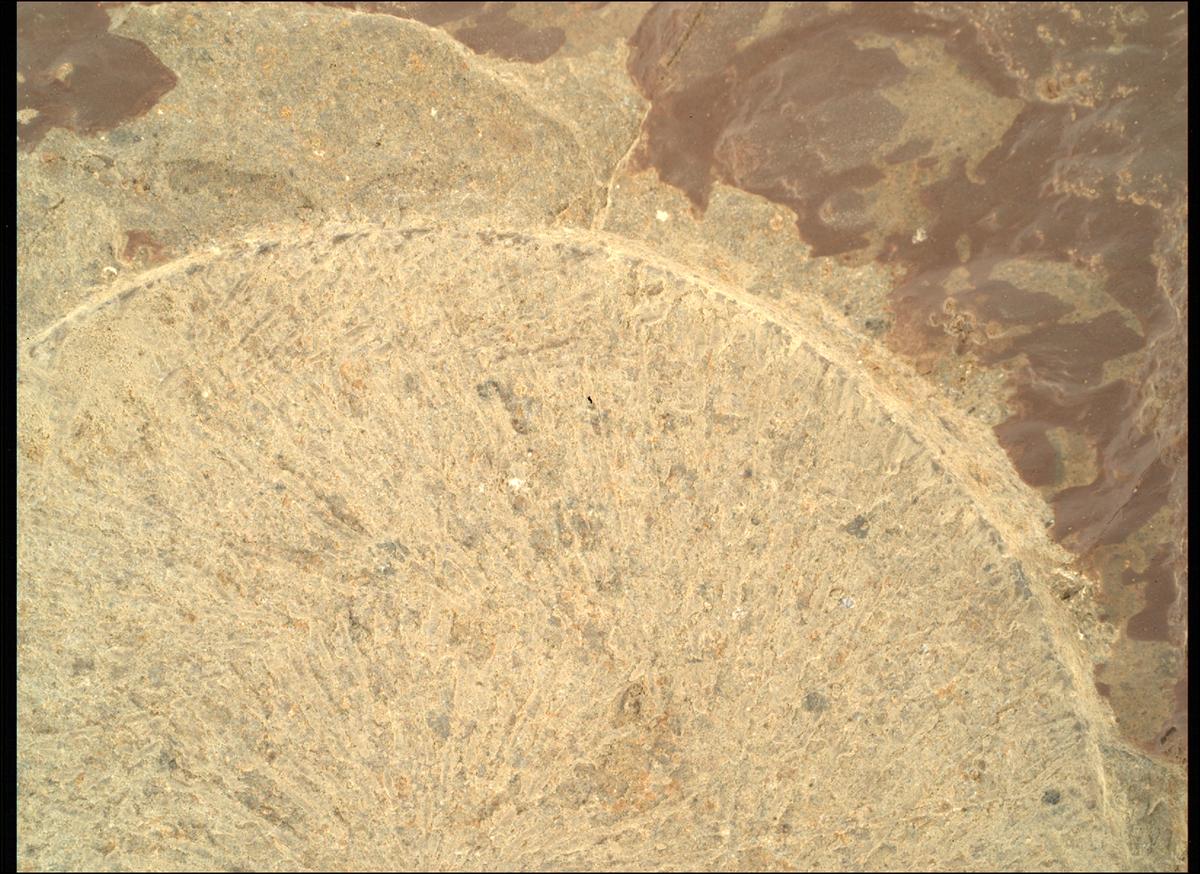 This image was taken by SHERLOC_WATSON onboard NASA's Mars rover Perseverance on Sol 1682