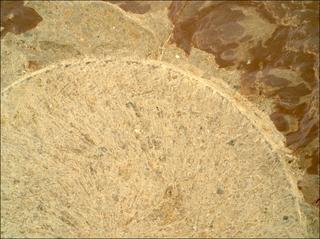 View image taken on Mars, Mars Perseverance Sol 1682: WATSON Camera 
