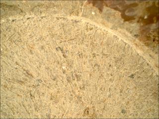 View image taken on Mars, Mars Perseverance Sol 1682: WATSON Camera 