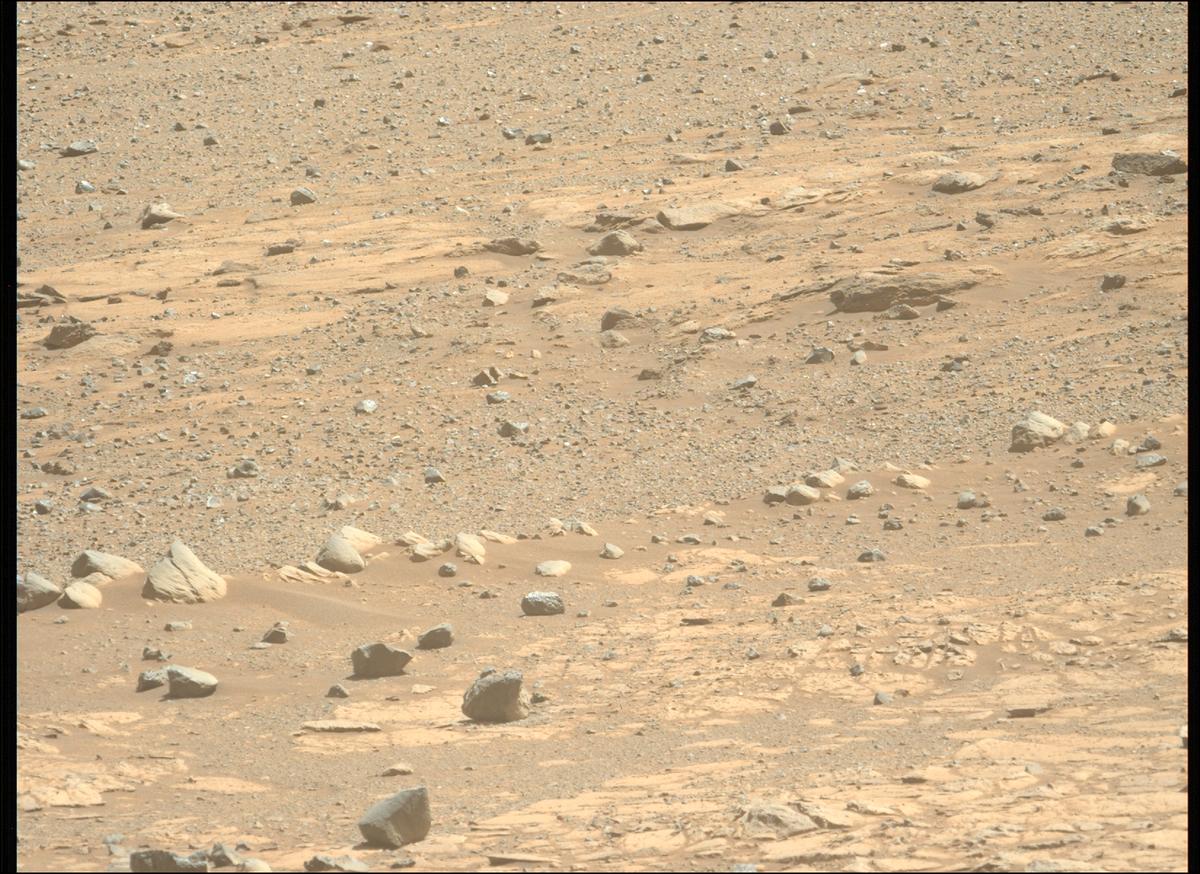 This image was taken by MCZ_LEFT onboard NASA's Mars rover Perseverance on Sol 1685