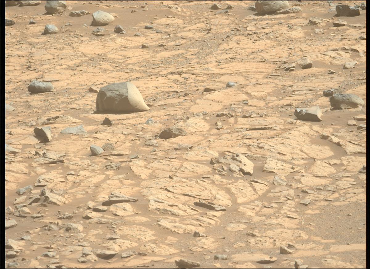 This image was taken by MCZ_LEFT onboard NASA's Mars rover Perseverance on Sol 1685