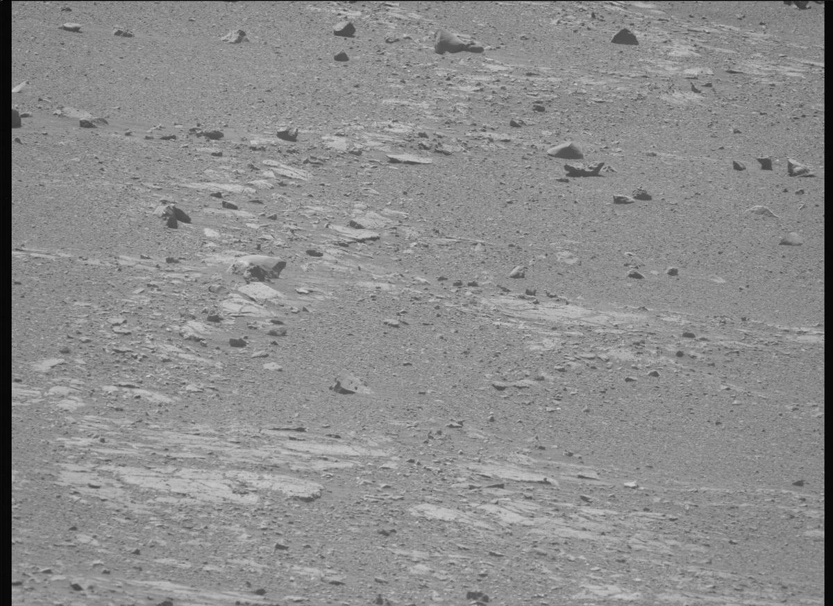 This image was taken by MCZ_LEFT onboard NASA's Mars rover Perseverance on Sol 1685
